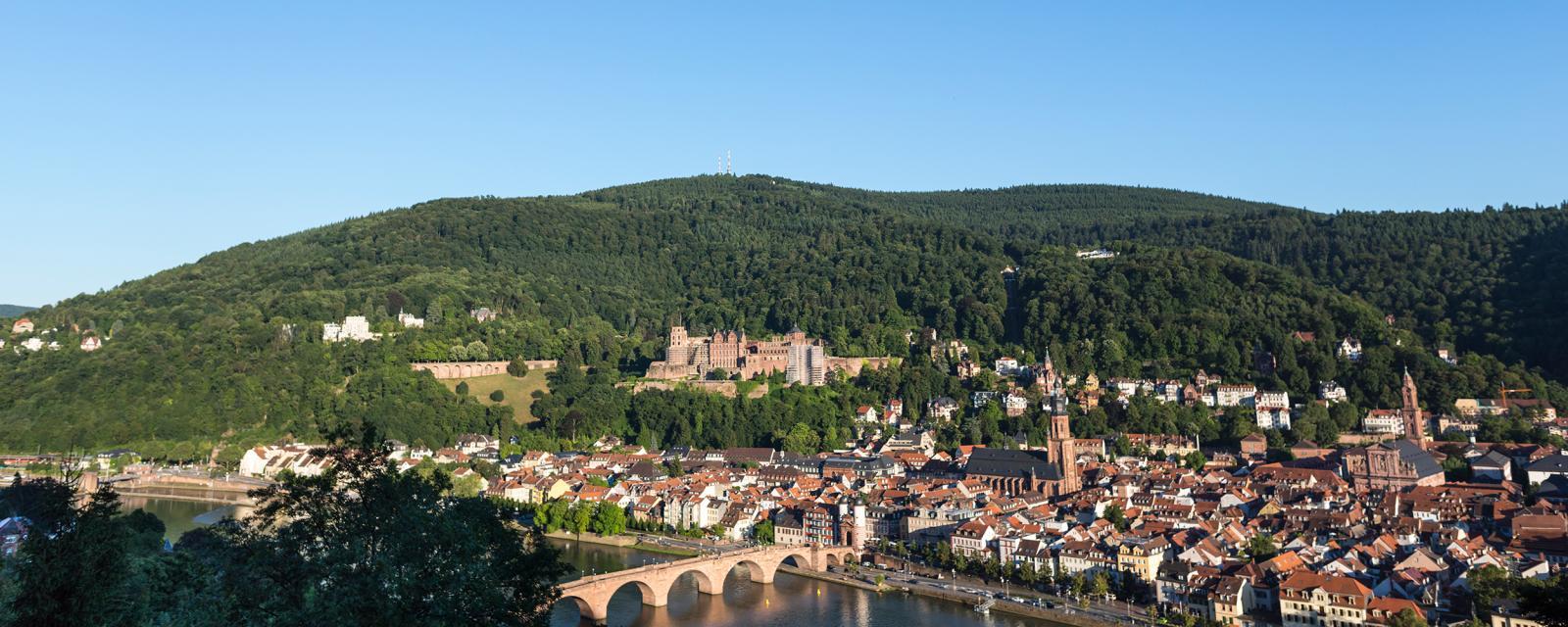 Blick über die Stadt Heidelberg im Hintergrund grüne Berge
