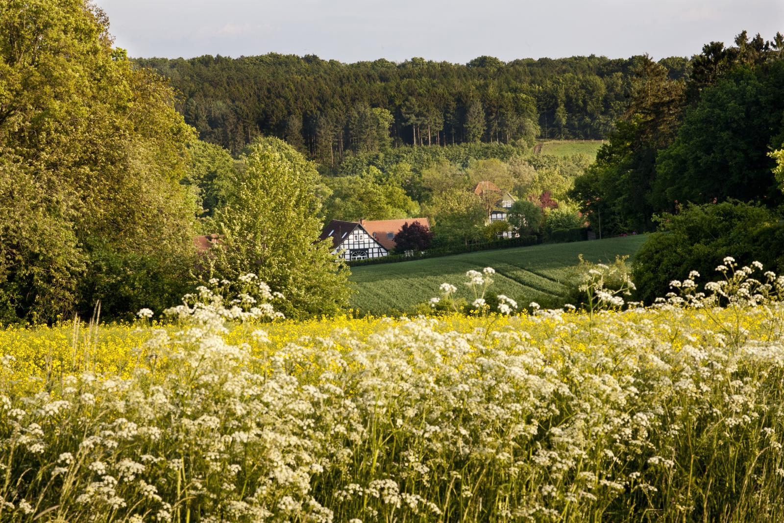 Blick in das Osnabrücker Land bei Rulle