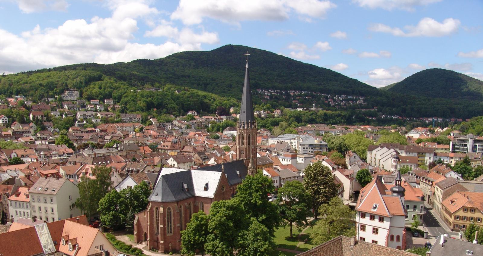 Panorama Neustadt im Hintergrund grüne Berge