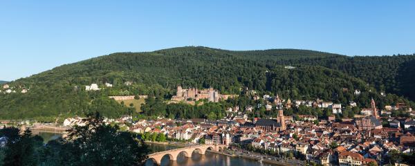 Blick über die Stadt Heidelberg im Hintergrund grüne Berge