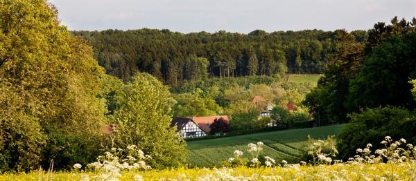 Blick in das Osnabrücker Land bei Rulle (Foto: Natur- und Geopark TERRA.vita)