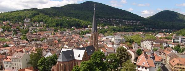 Panorama Neustadt im Hintergrund grüne Berge