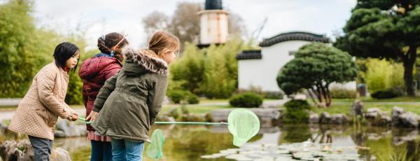 Kinder erkunden einen Teich bei einem Umweltbildungsangebot in Rostock.