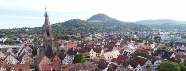 Blick über die Stadt Reutlingen im Hintergrund grüne Berge
